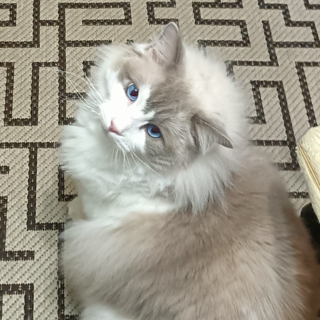 Даня