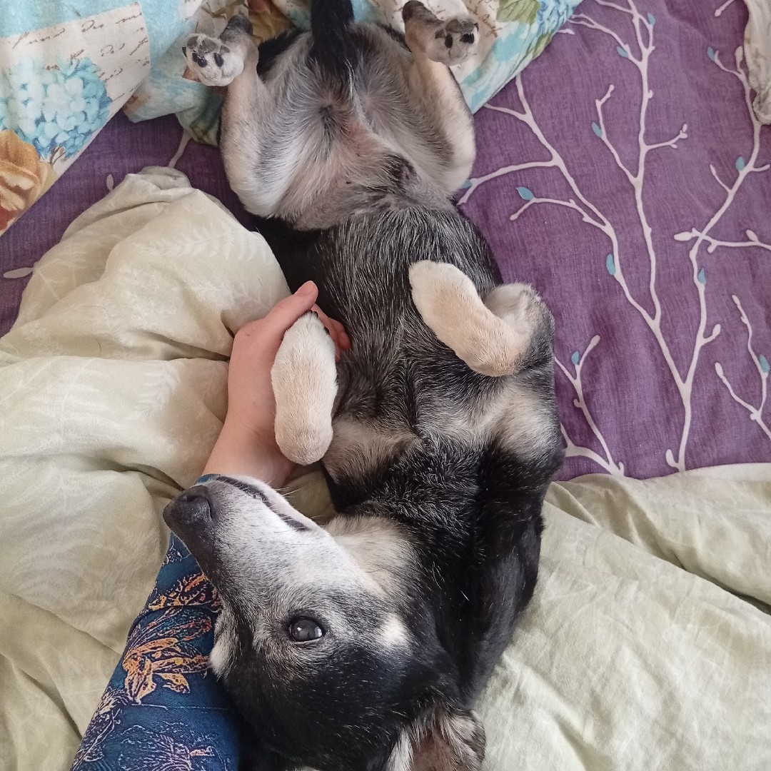 Арсений
