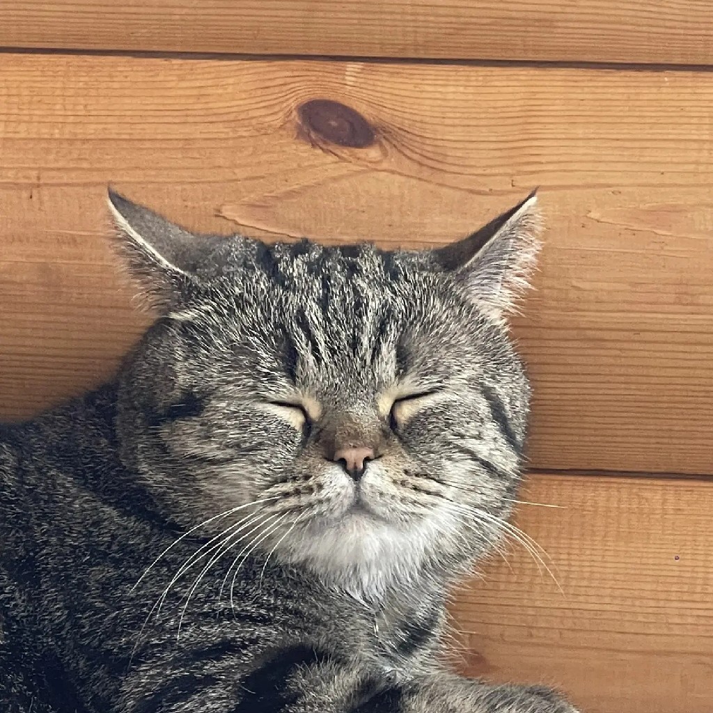Марсик
