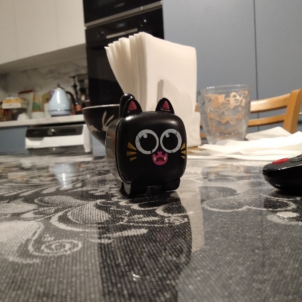 Коша