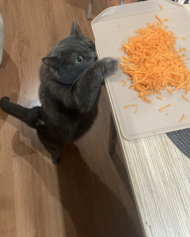 Я это, конечно, не ем, но... Дай, пожалуйста 🥺