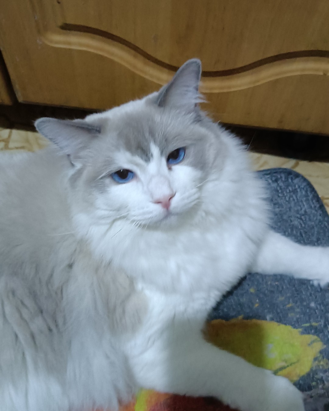 Моё нежное облачко!