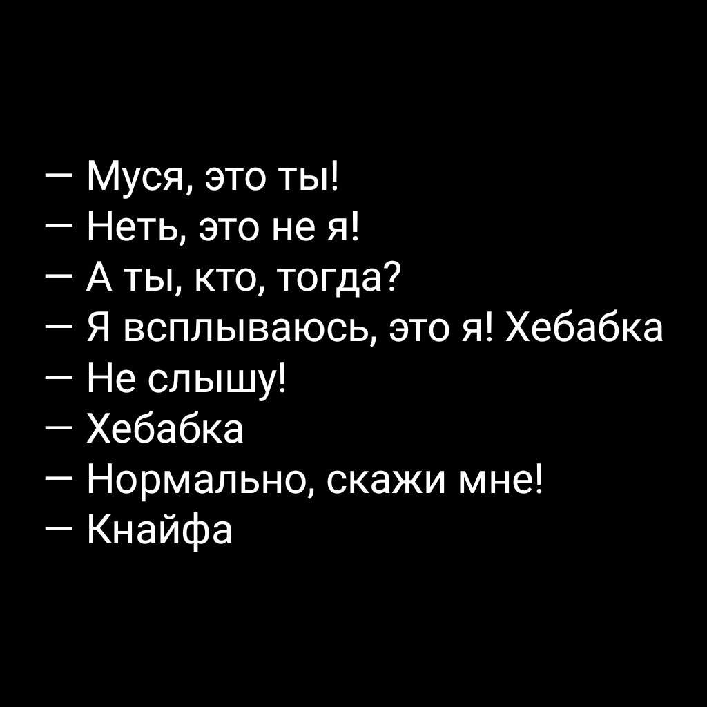 Алкаш разговаривает с кошкой