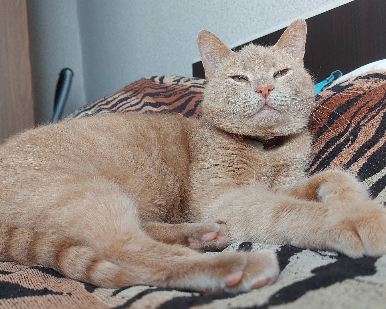 Лефф 🦁