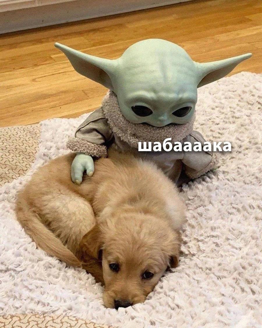 ^-^