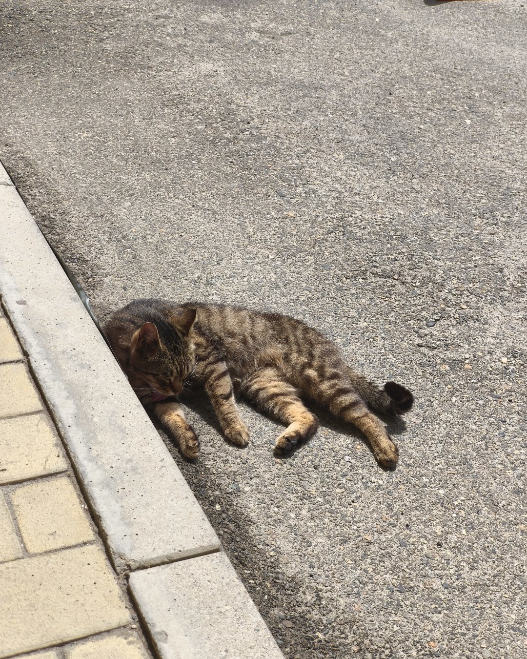 на солнышке хорошо☀️