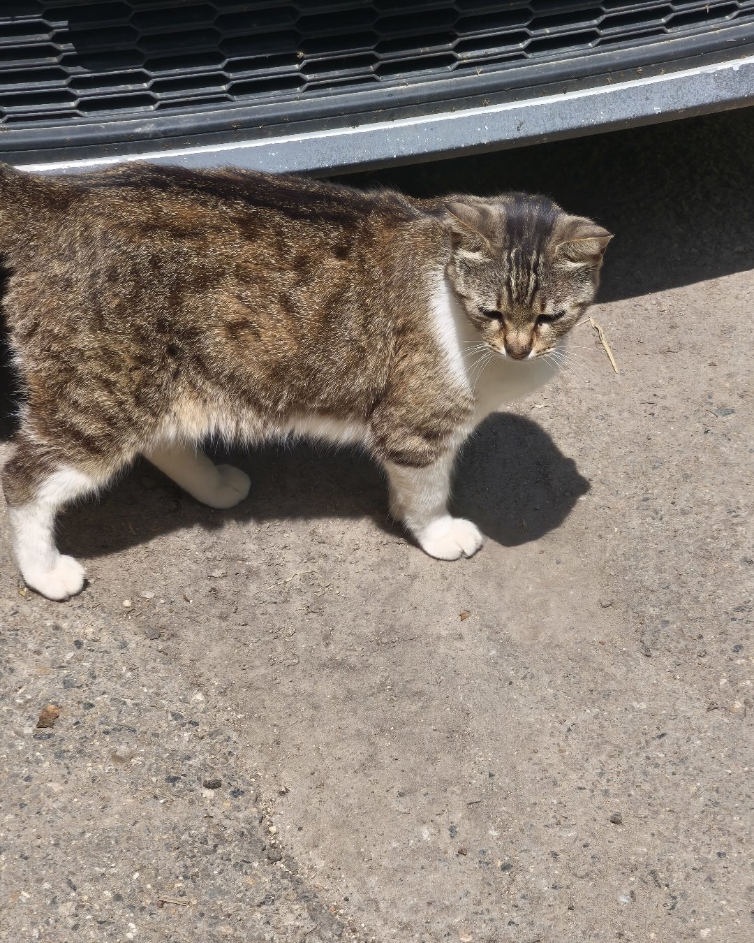 😺🌞