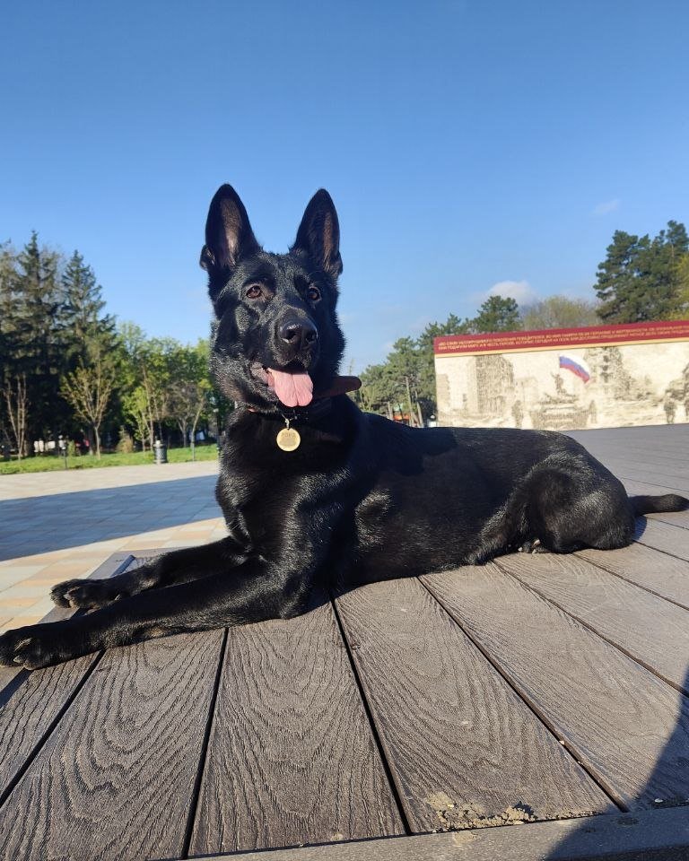 Я Рона