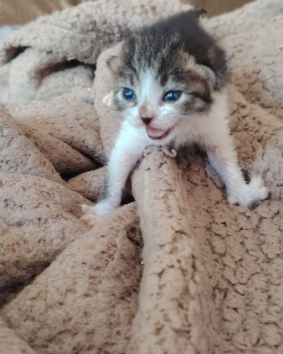3 июня наконец открыл глазки❤️