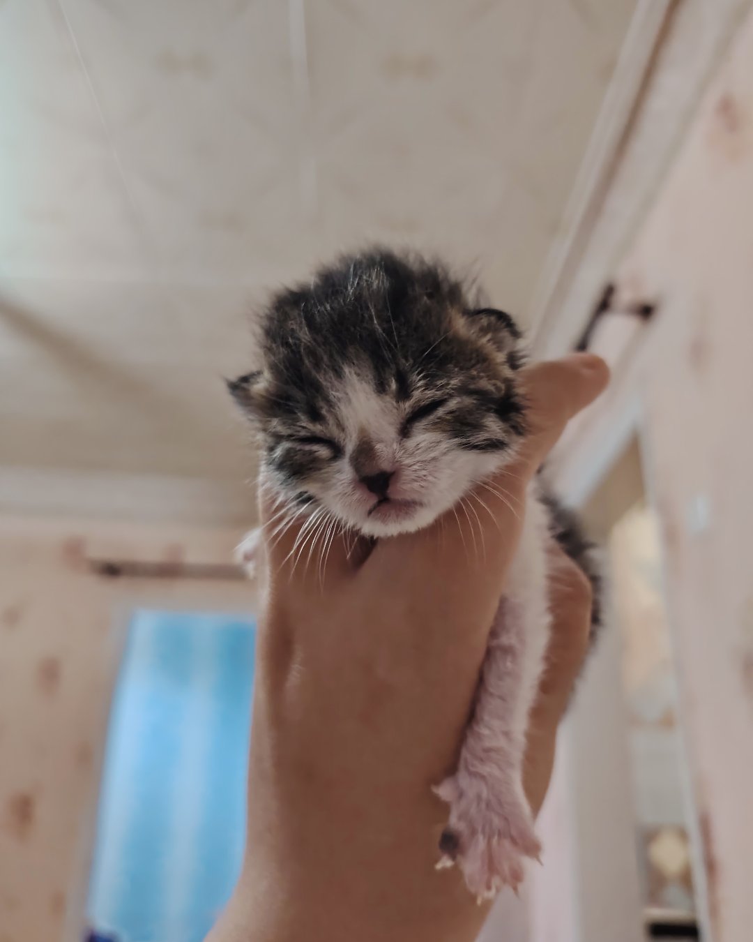 3 июня наконец открыл глазки❤️