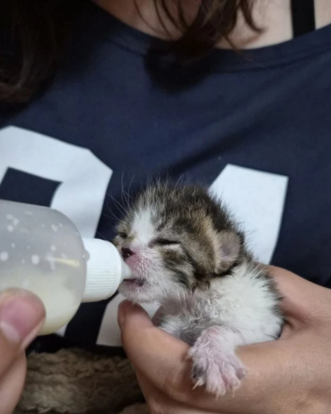3 июня наконец открыл глазки❤️