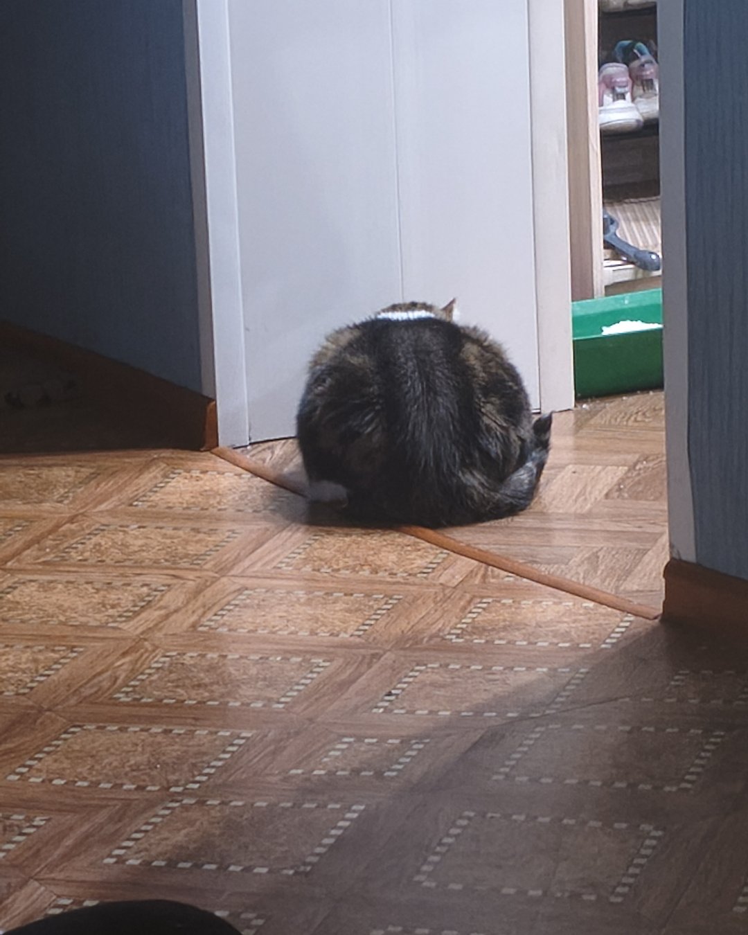 Когда пришли гости, но они не очень дорогие..