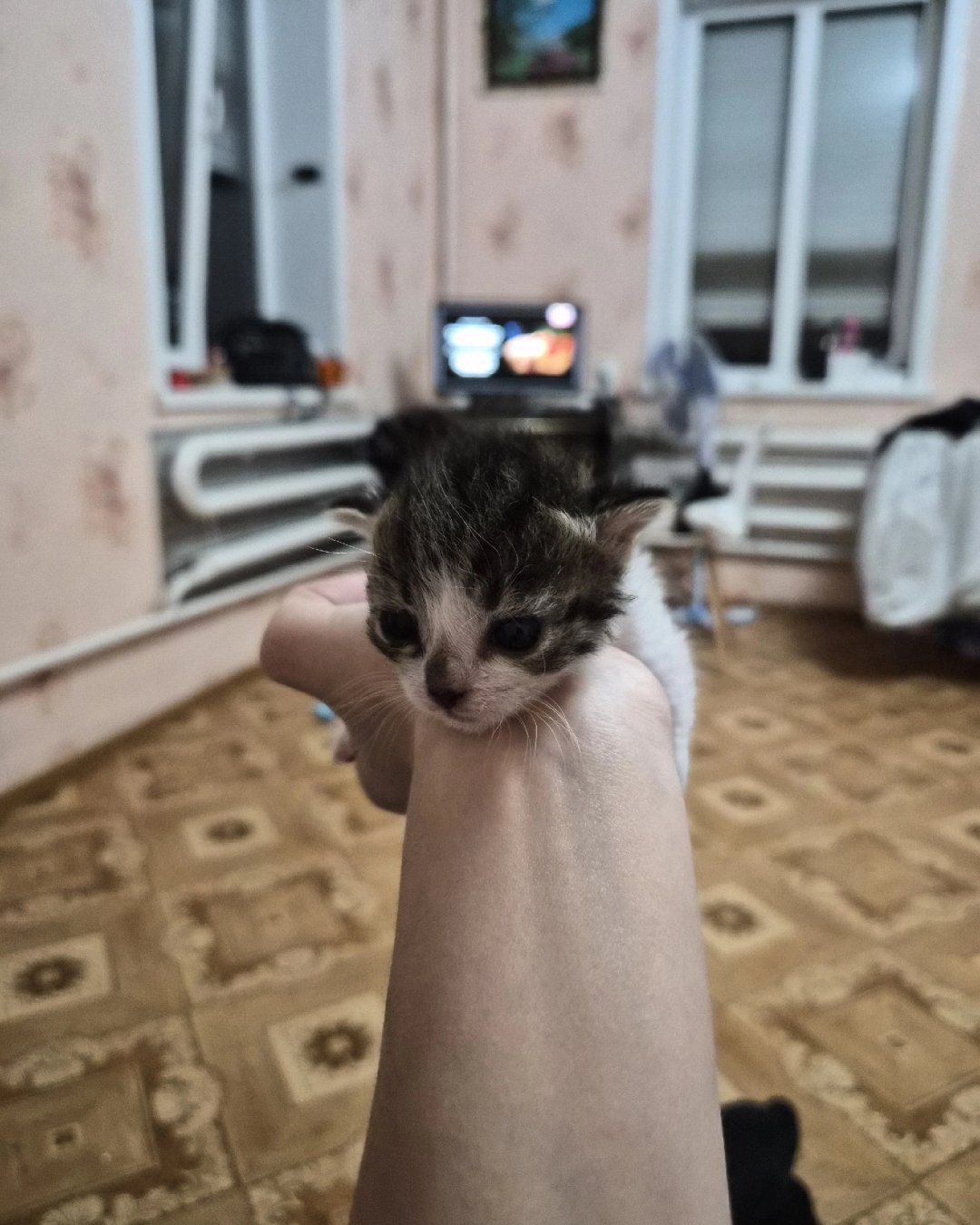 Будущий тигр🫠🐅