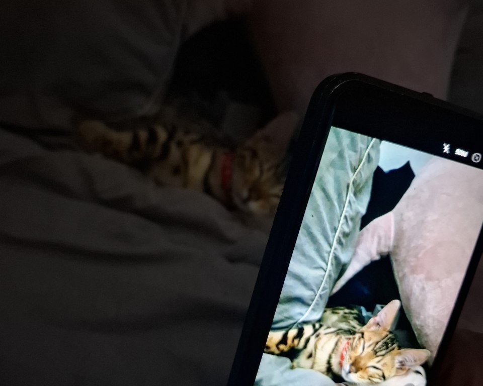 Сфоткала? Я видео снимаю... Сфоткала? Я ж видео снимаю