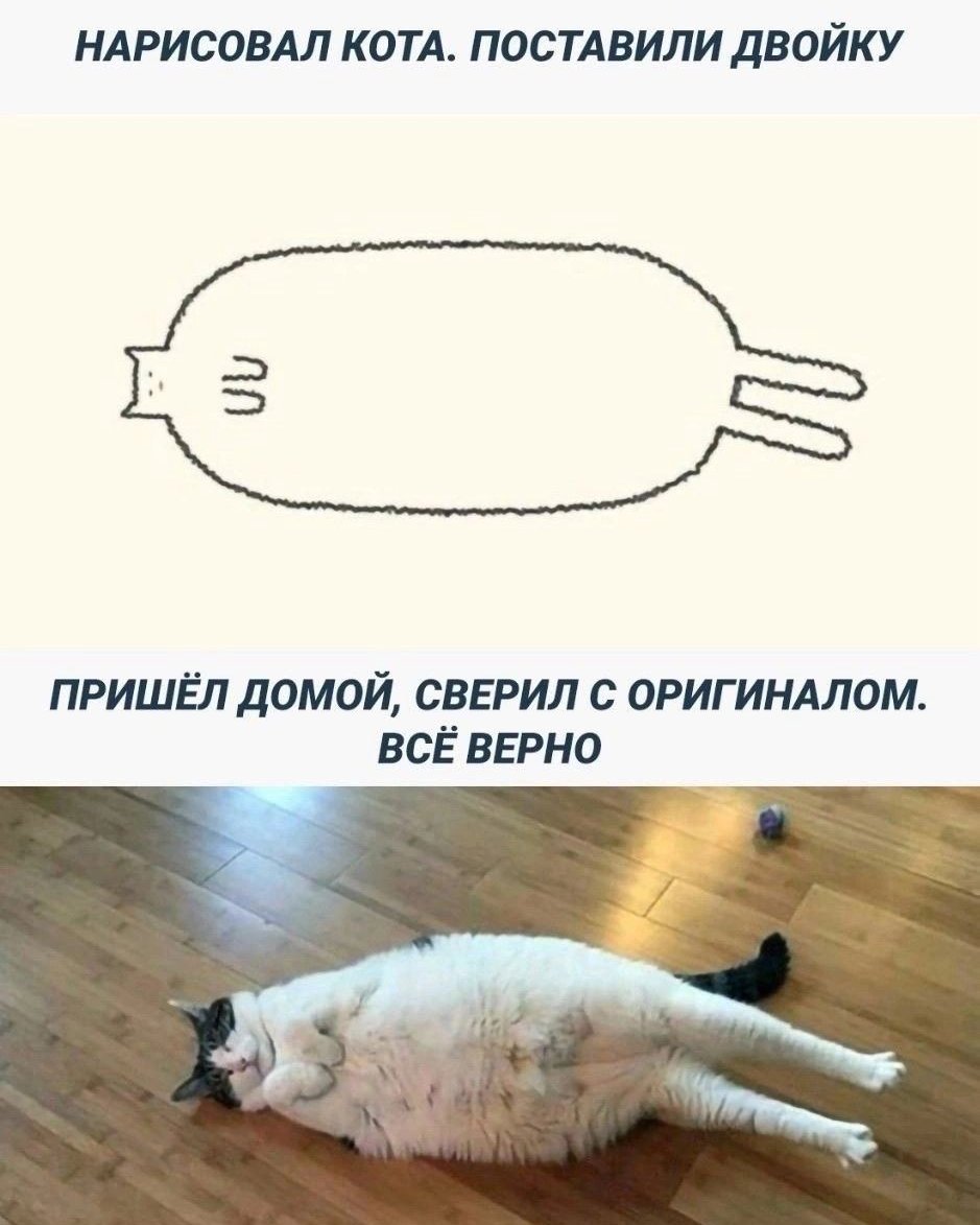 Хвост забыл