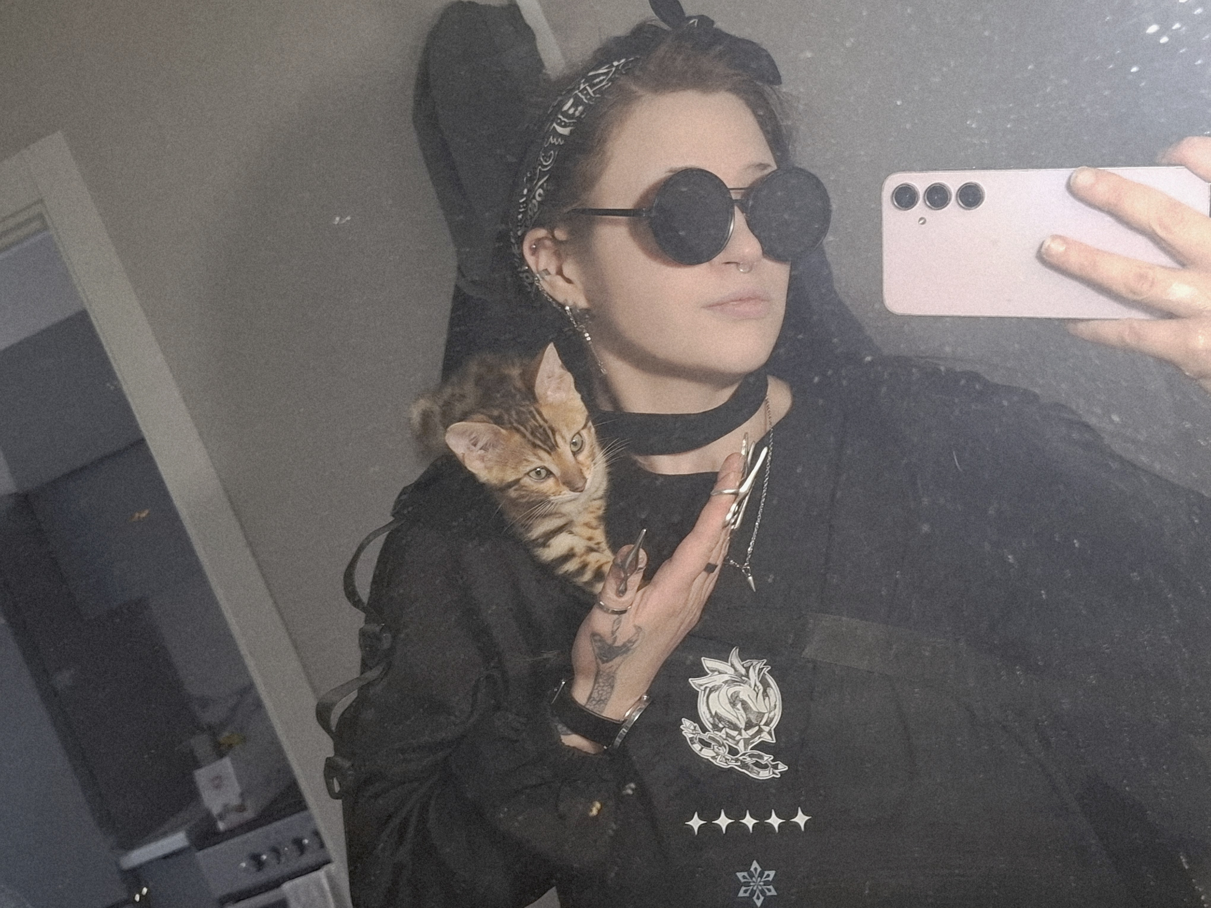 Кошки. Бенгальская — Общие фотки с ещё маленьким засранцем