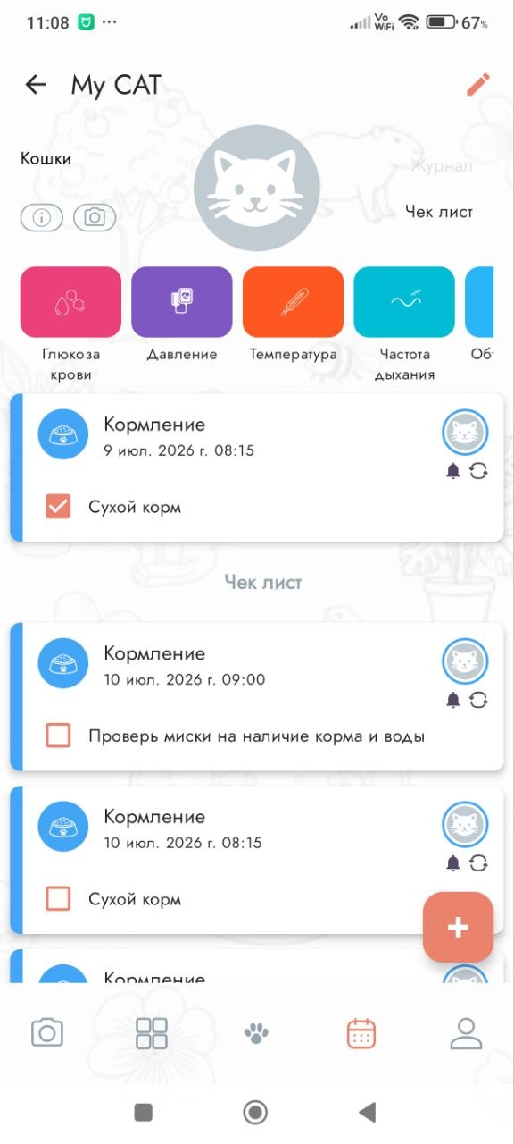 Кормление кошки
