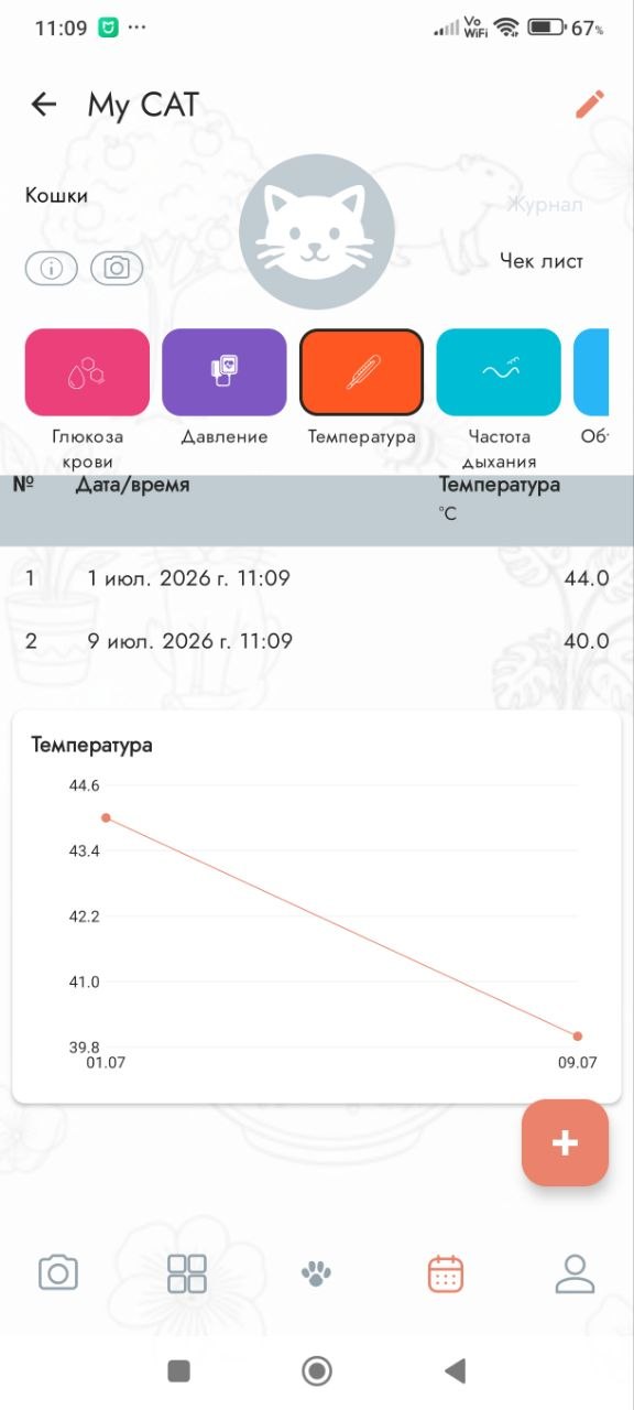 Измерение температуры у кошки