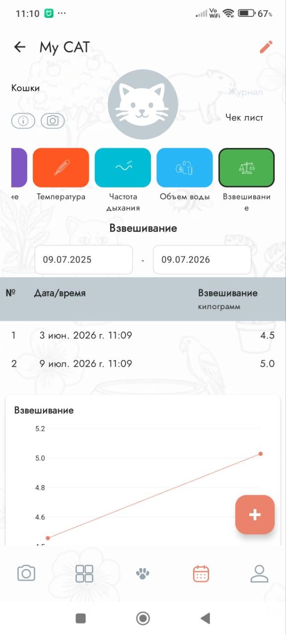 Взвешивание кошки