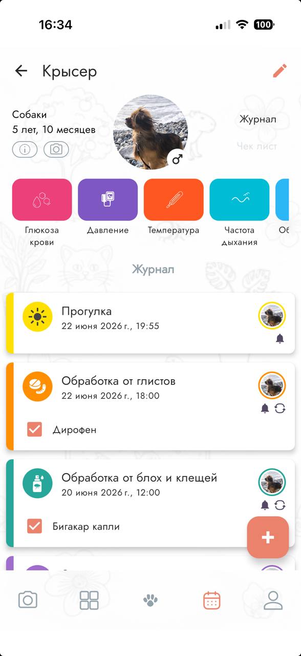 Прогулка с собакой