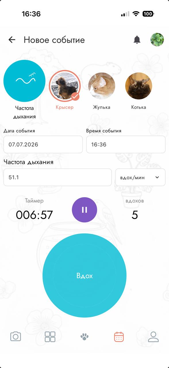Измерение частоты дыхания у собаки